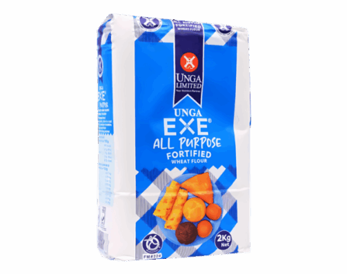 Exe-all-purpose-1-600x600-1.png